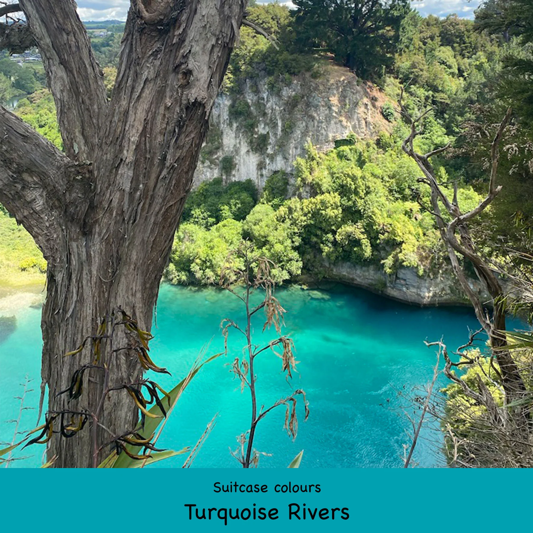 Add a Suitcase - Image 14