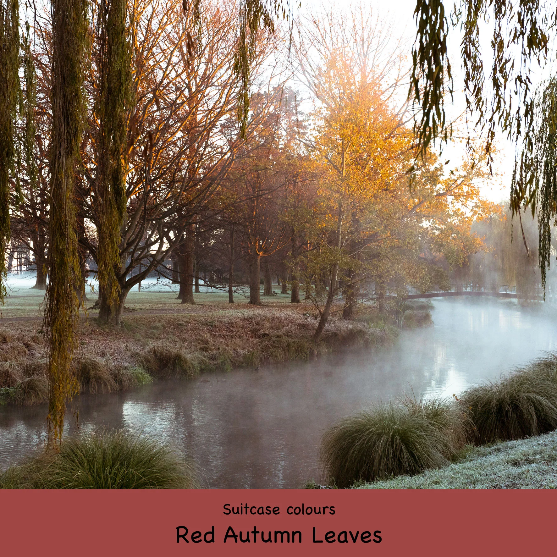 Add a Suitcase - Image 17