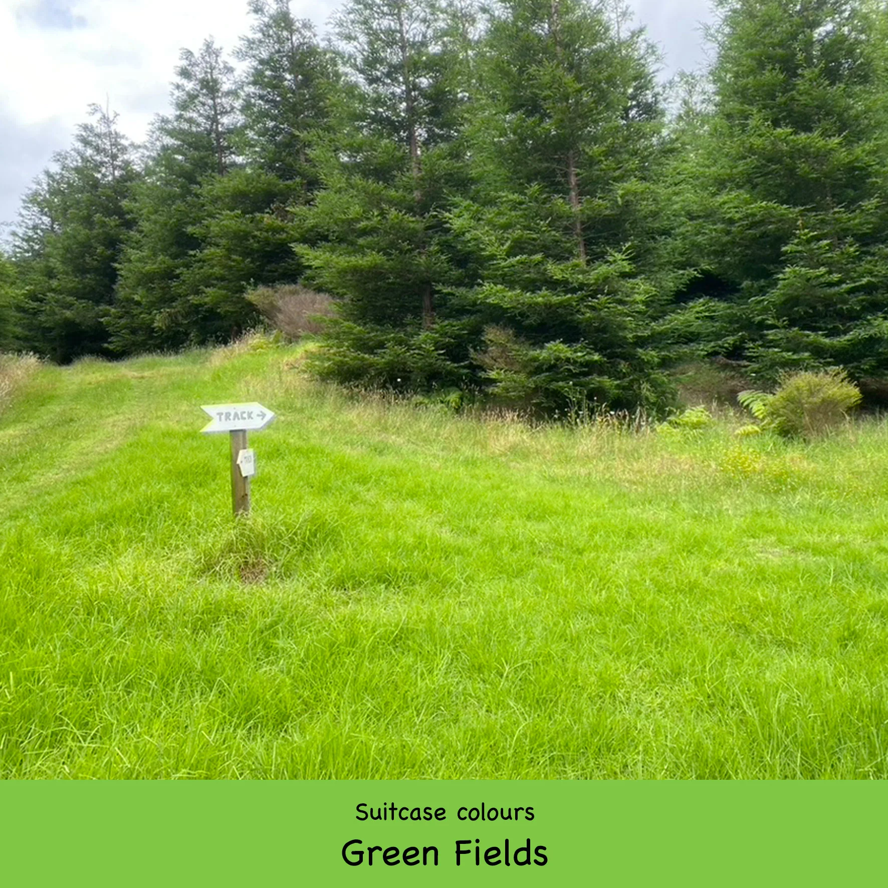 Add a Suitcase - Image 24