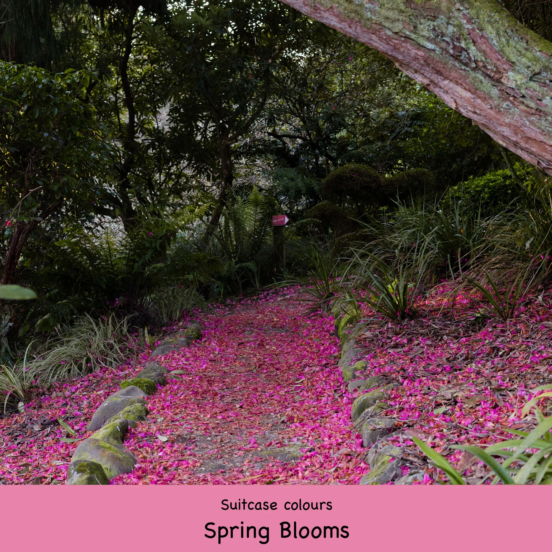 Add a Suitcase - Image 25