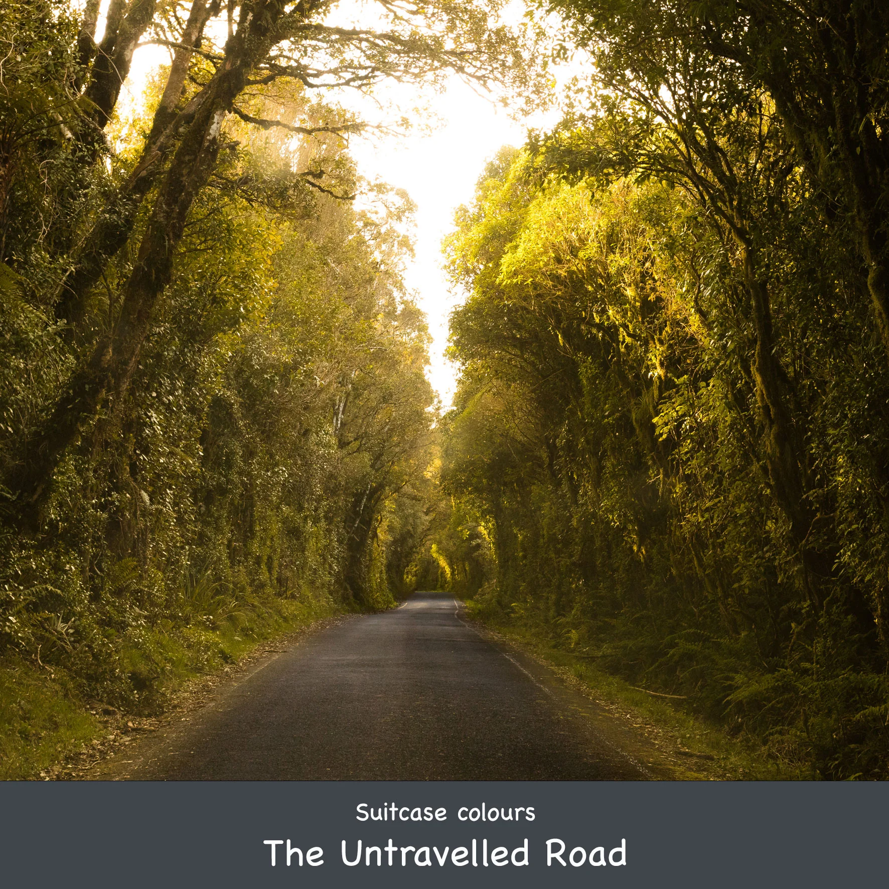 Add a Suitcase - Image 27