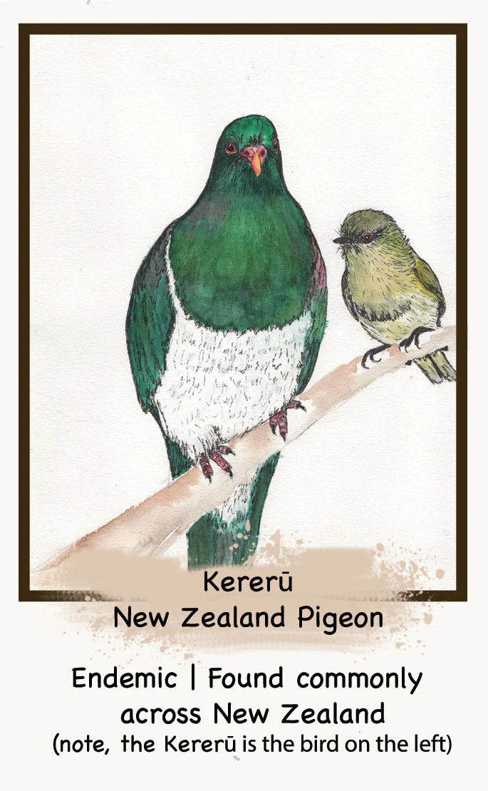 The NZ Bird Edition - Image 8